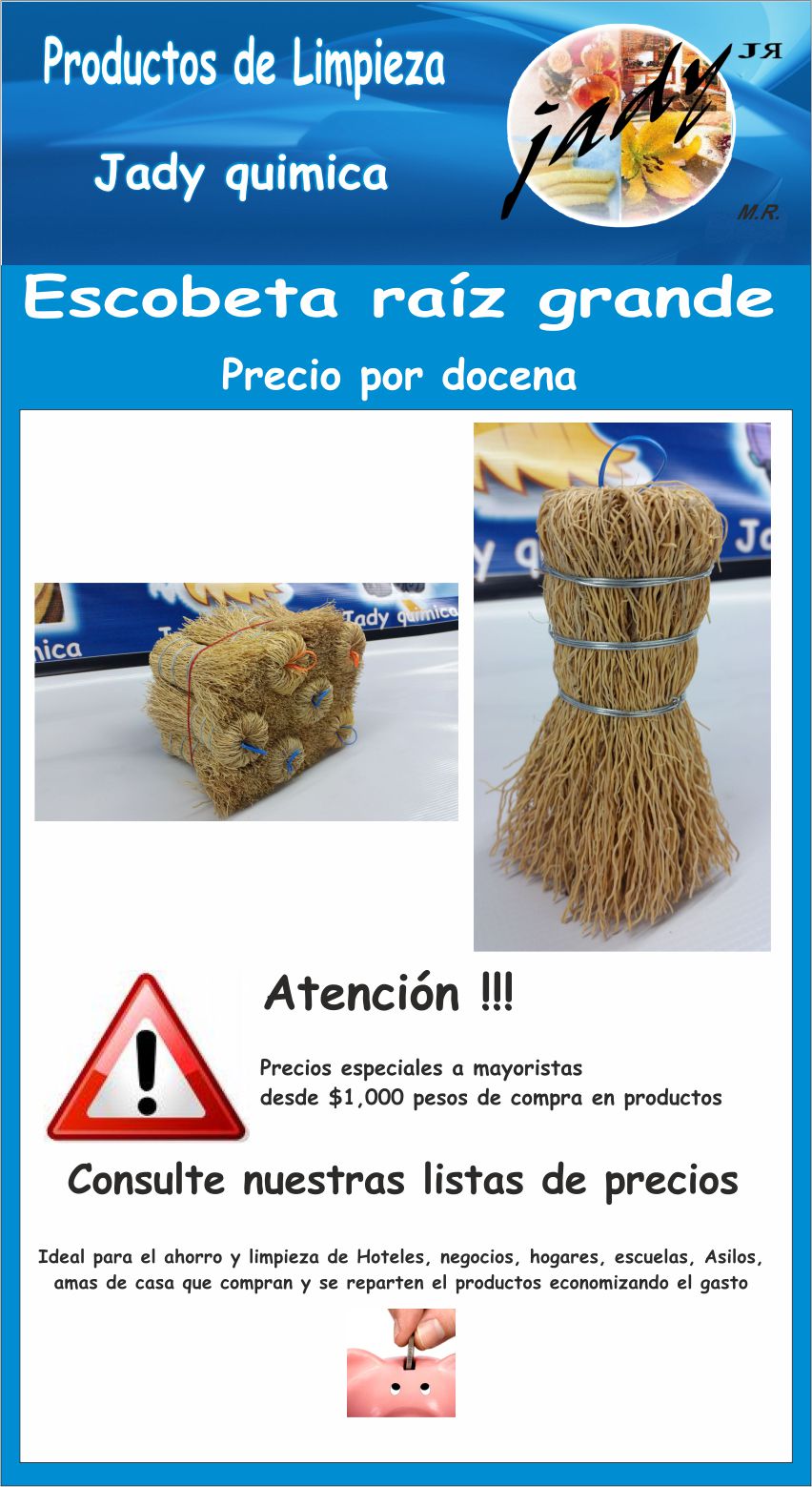 Escobetas de Raiz - Buy Eco-Friendly Mexican Dish Scrubbers – Paloma Danger