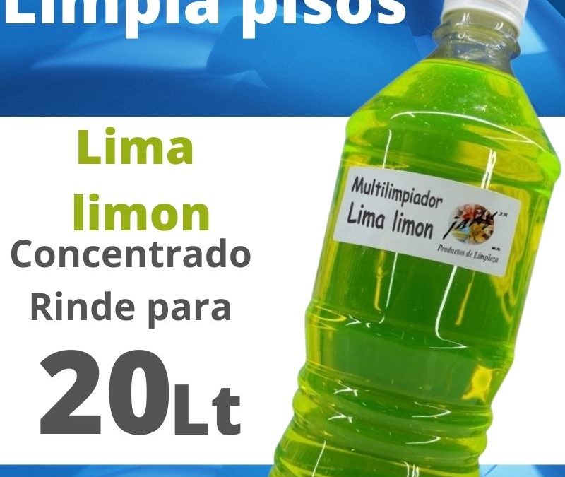 Limpia Pisos Tipo Maestro Limpio